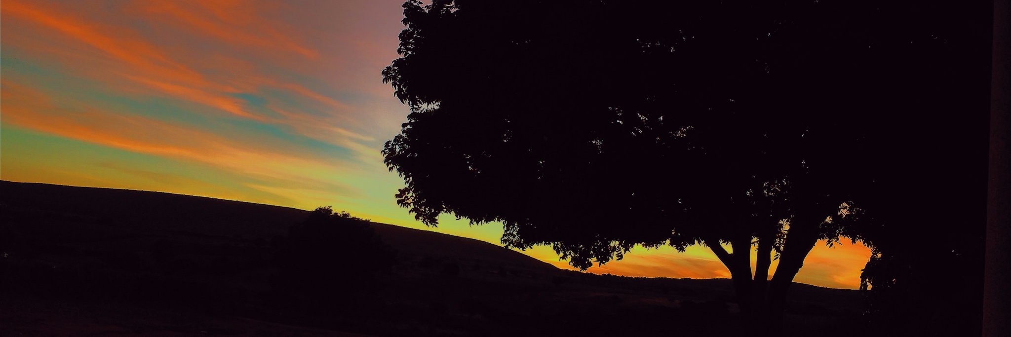 Eligianeely's profile banner image