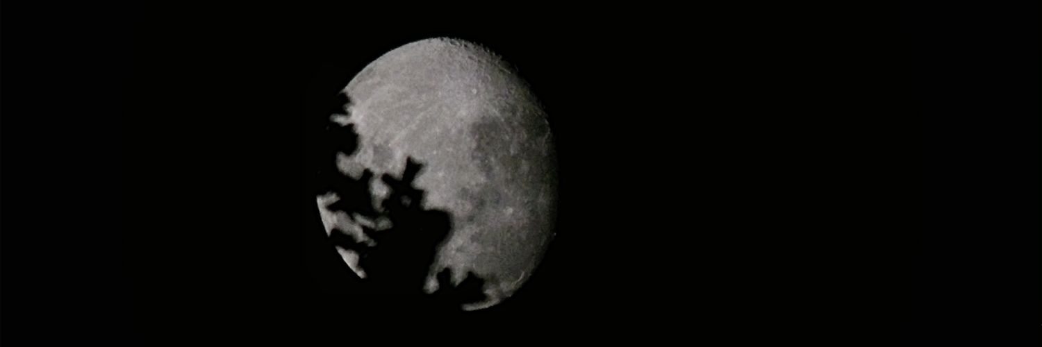 miraclesd_'s profile banner image
