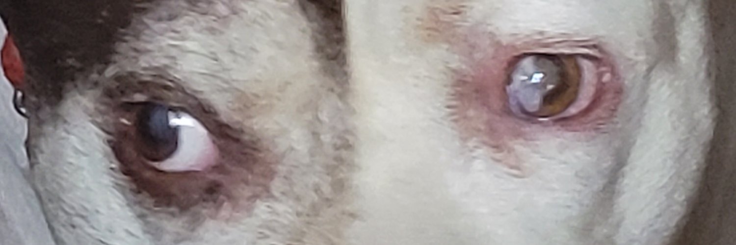 Melmaifalling's profile banner image