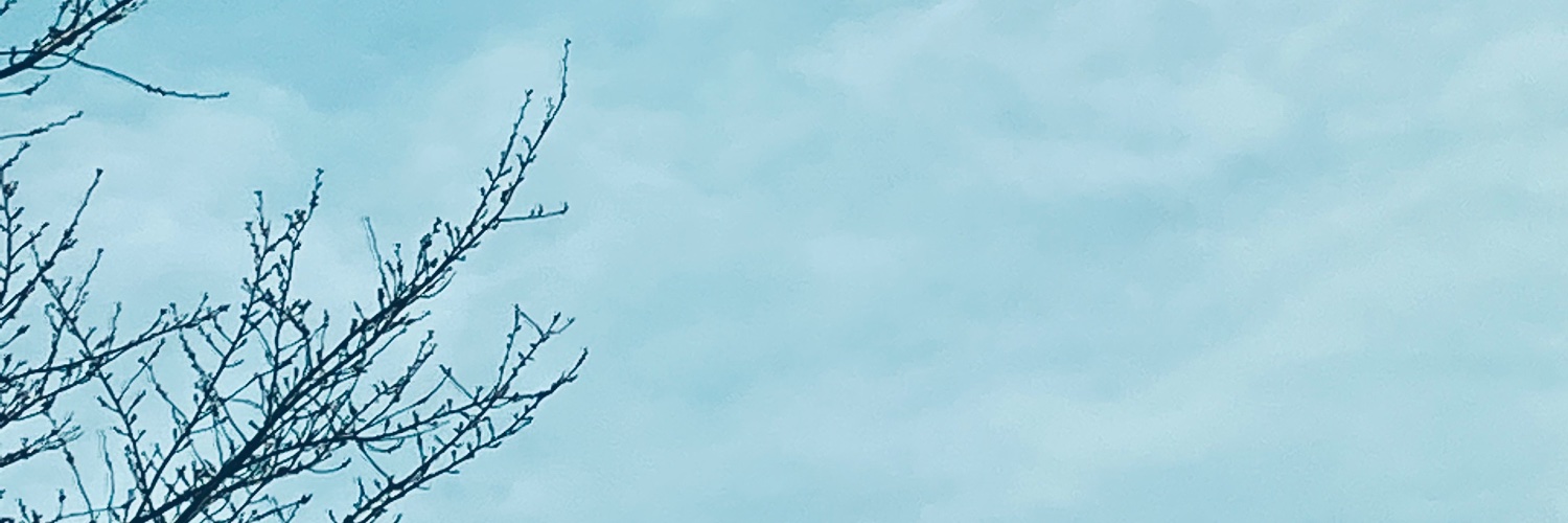ばじる banner