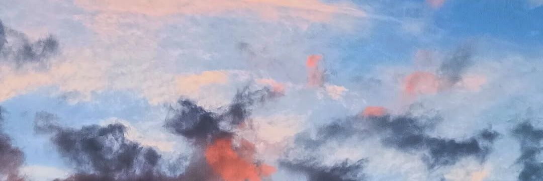 fibustos's profile banner image