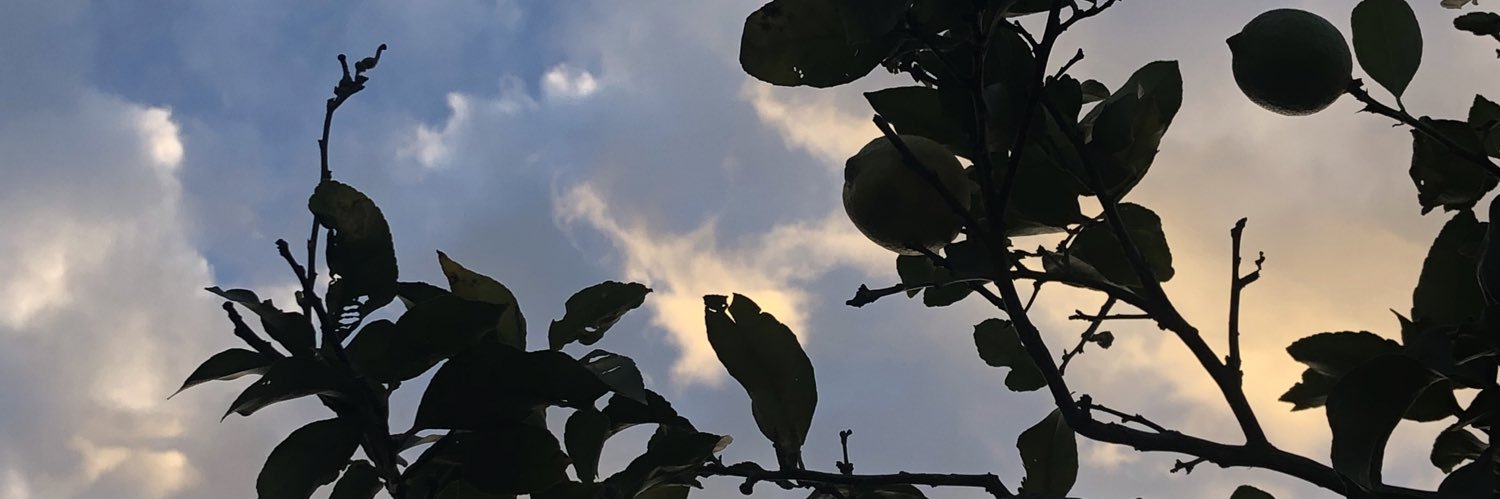 mp1lu_'s profile banner image