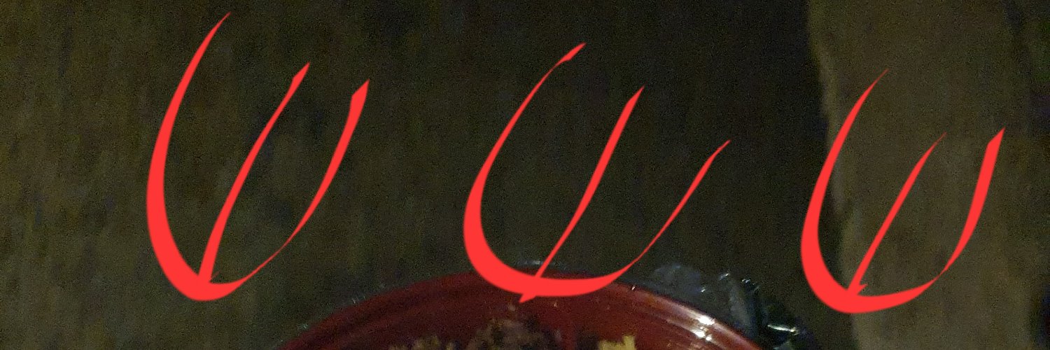 thomasfeddr's profile banner image