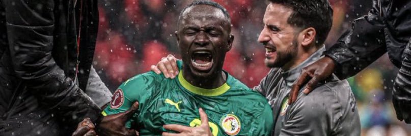 roronoa zoro 🇸🇳 banner