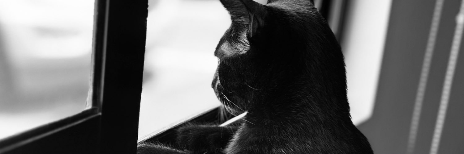 _CarlosAcosta7's profile banner image