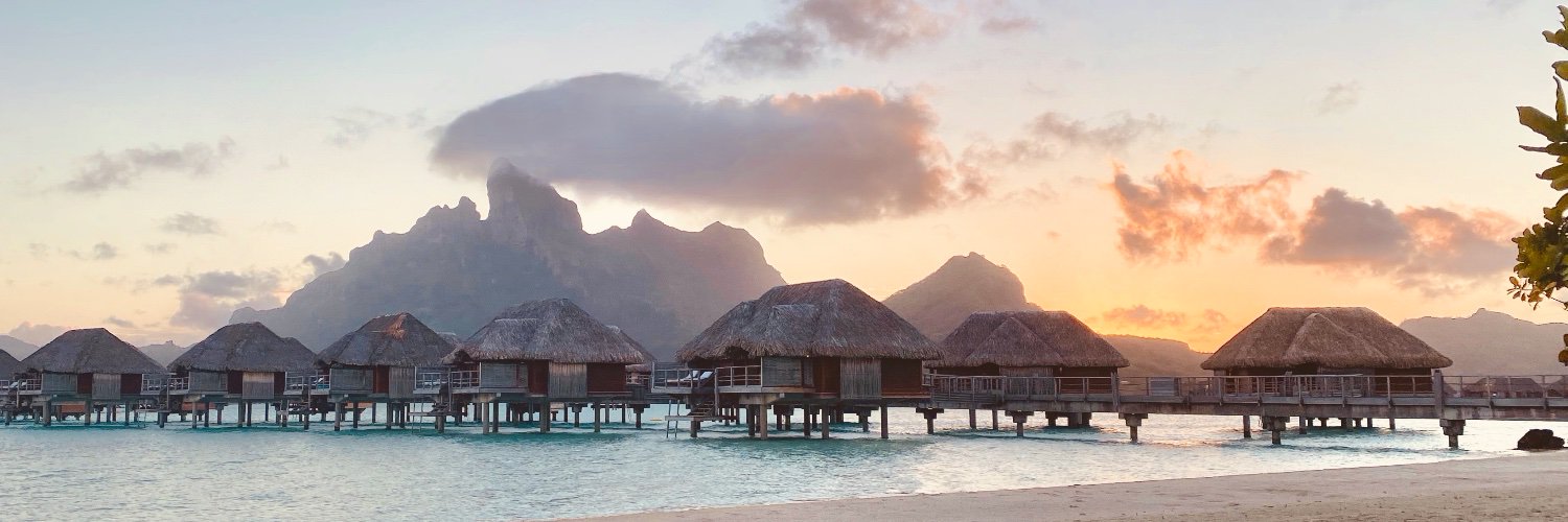 Elan Feingold banner