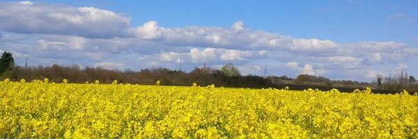 Angela from Kent (on BlueSky) 💙#FBPE Profile Banner