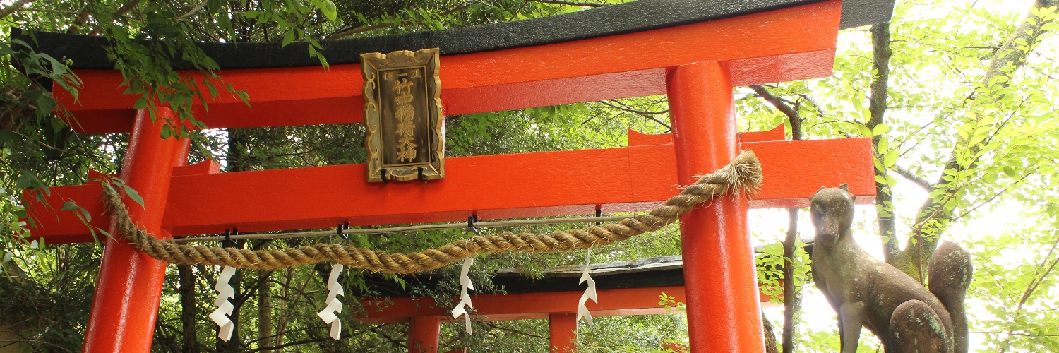 it's elle, actually banner