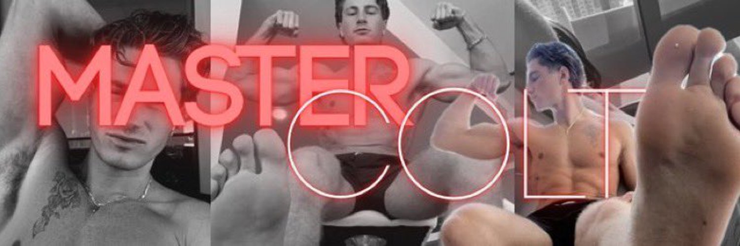 Master Colt banner