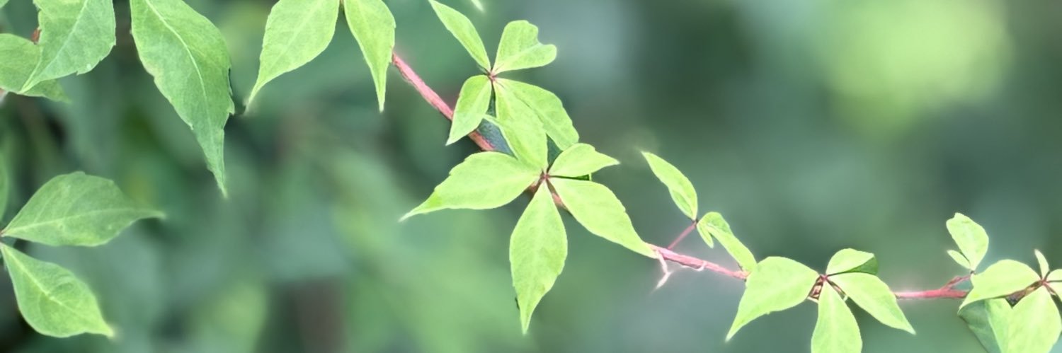 georgiabudd's profile banner image