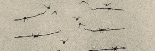 lucienmatar's profile banner image