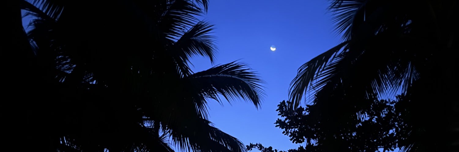 camifv01's profile banner image