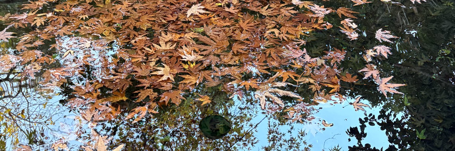 Ömer Yalçınova banner