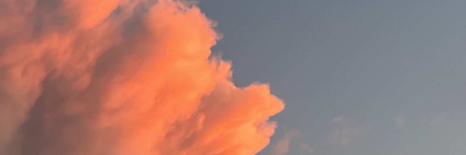 CatRage banner