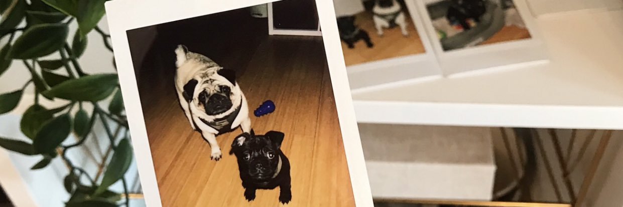 CaitSimps's profile banner image