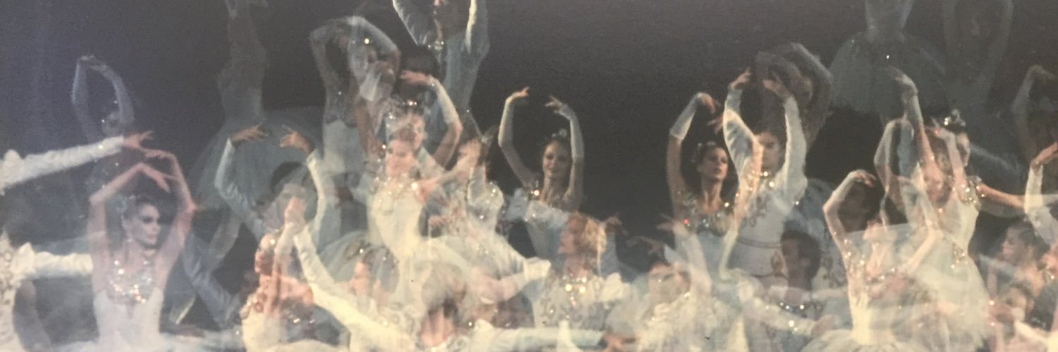 gresulina's profile banner image