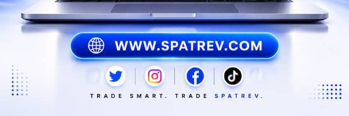 spatrev's profile banner image