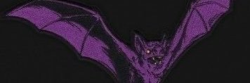 EXCIL19's profile banner image