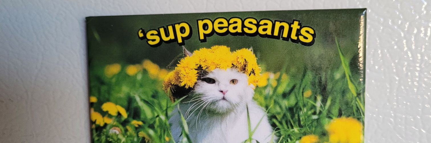 KatieCat26 banner