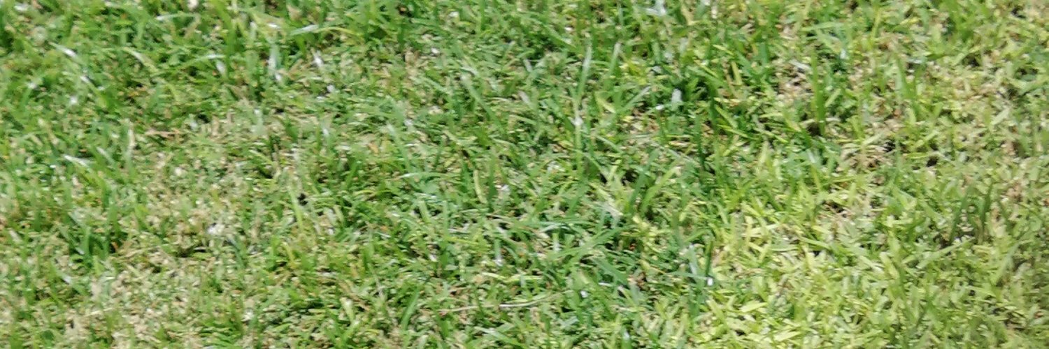 risenol's profile banner image