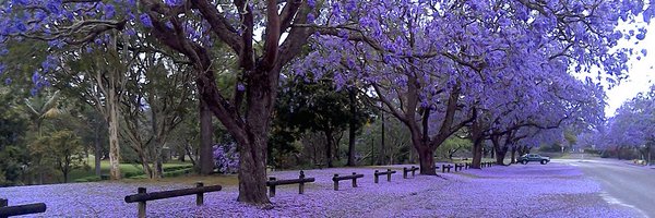 SimplyMsChloe Profile Banner