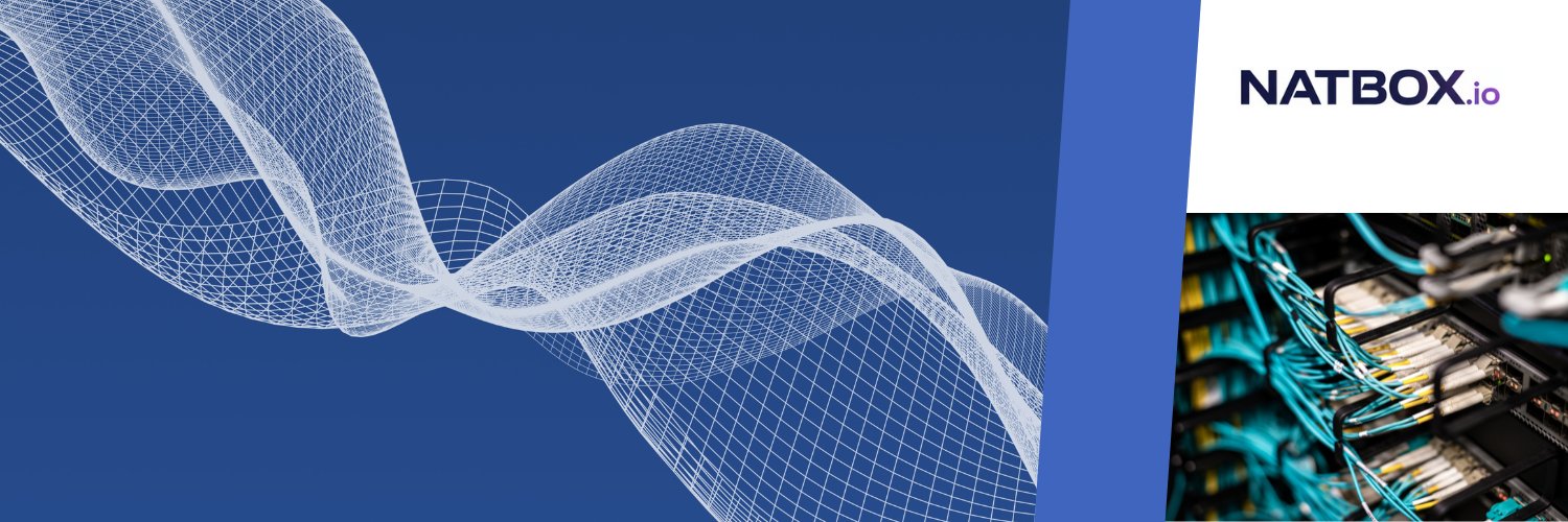 NATBox banner