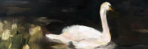 cloveriets's profile banner image