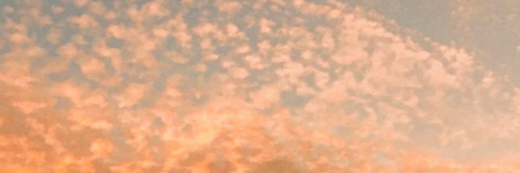 rizogiggy's profile banner image