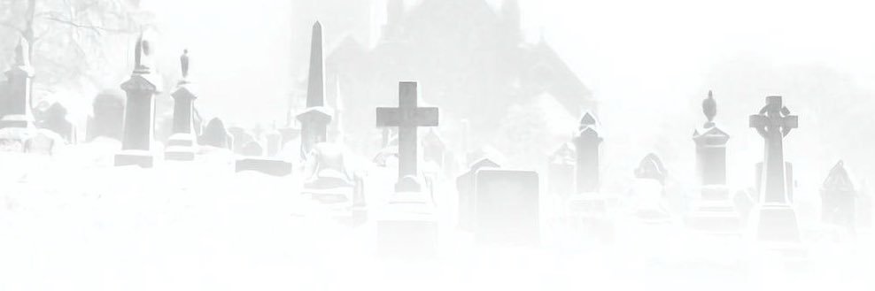 Death_lannx's profile banner image