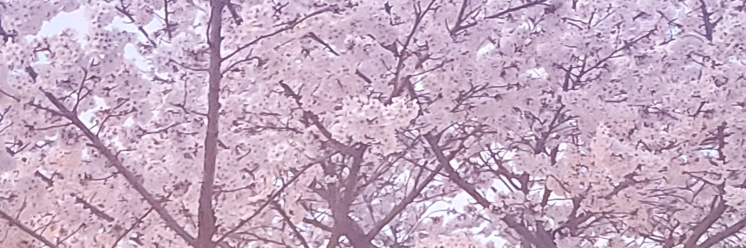 iayeon_00's profile banner image