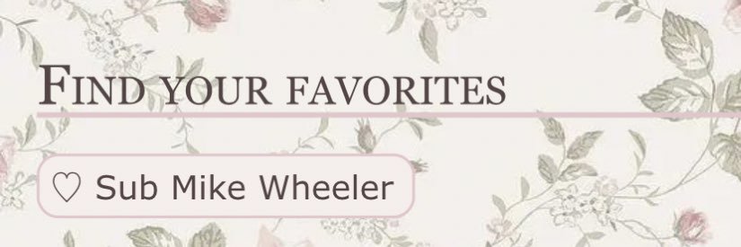 wednesday ˖ ᡣ𐭩 ⊹ ࣪ ౨ৎ˚₊ banner