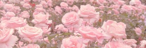 ⫷♡❀𝐸𝑙𝑖𝑠𝑎𝑏𝑒𝑡ℎ❀♡⫸ banner