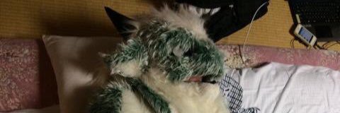 ぐりう😼▶︎？？？ banner