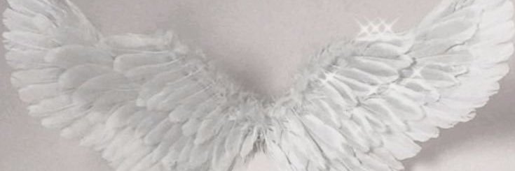 vivi banner