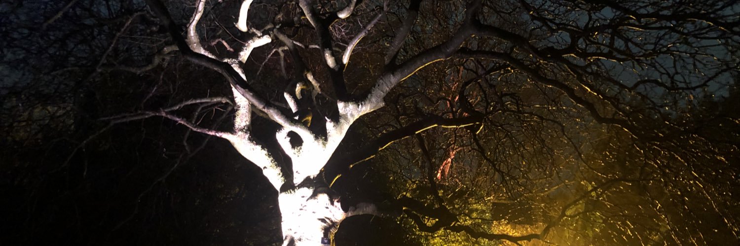 oldfangledjo's profile banner image