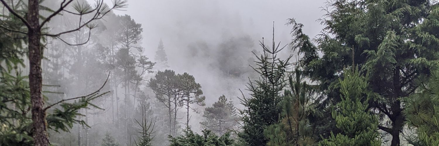 Sir_Rafa4's profile banner image
