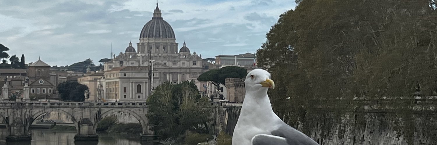 tortizmartinez's profile banner image