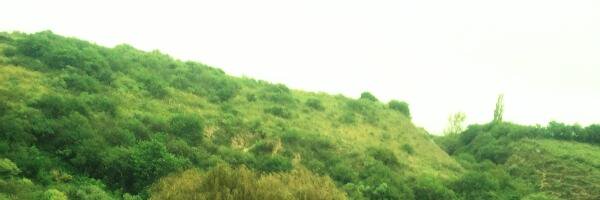 LulaSegunda's profile banner image