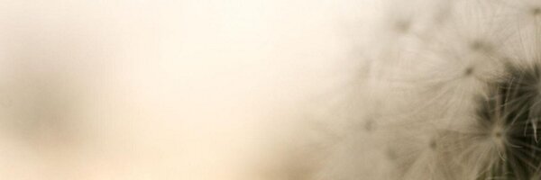 ShutterSisters Profile Banner