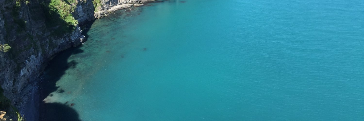 krmdmrkl's profile banner image