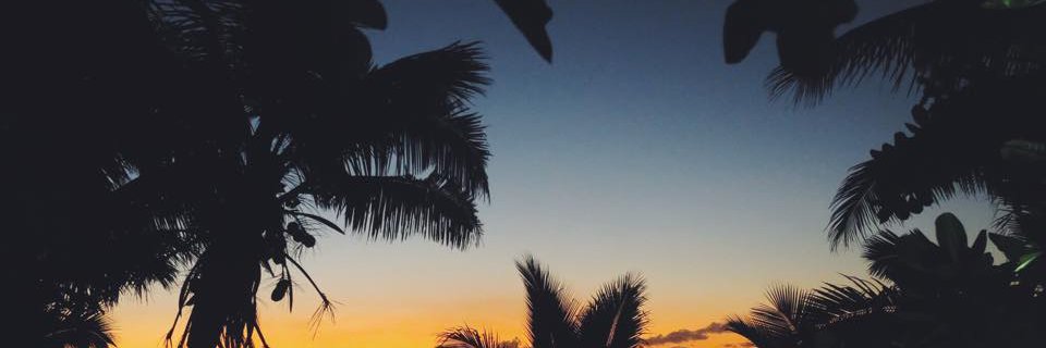 TyloKey's profile banner image