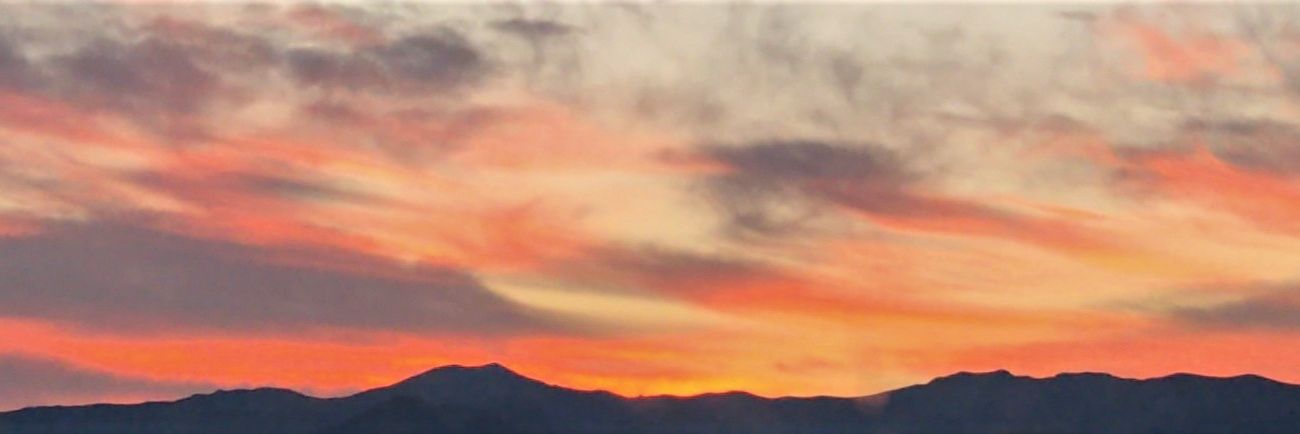 Aaron Canen banner