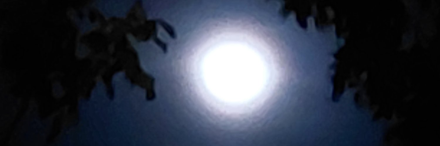 YaliKim banner
