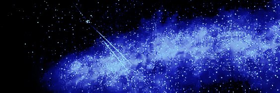 𝕽𝐨𝐬𝐚𝐥𝐢𝐧𝐚 banner