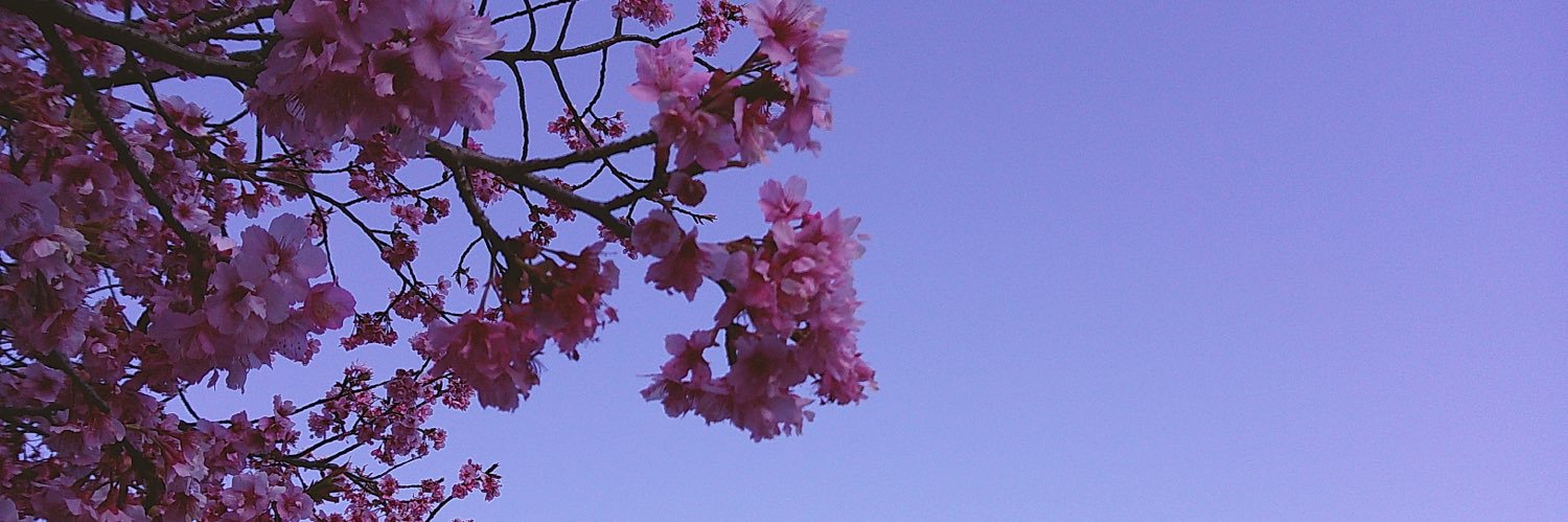 しほ banner