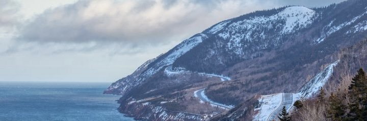 Trudy MacDonald banner