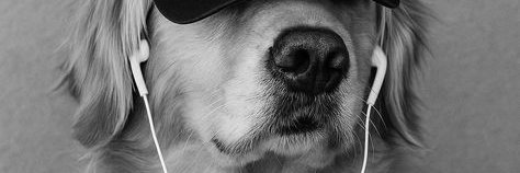 Edward Okereke banner