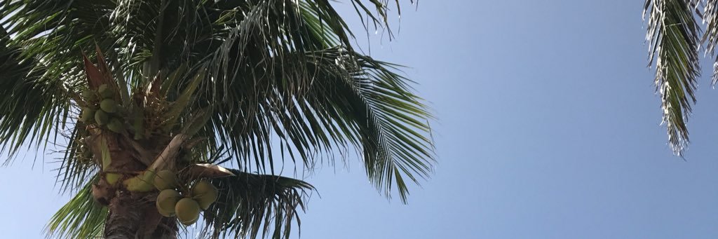 Culture Queen banner