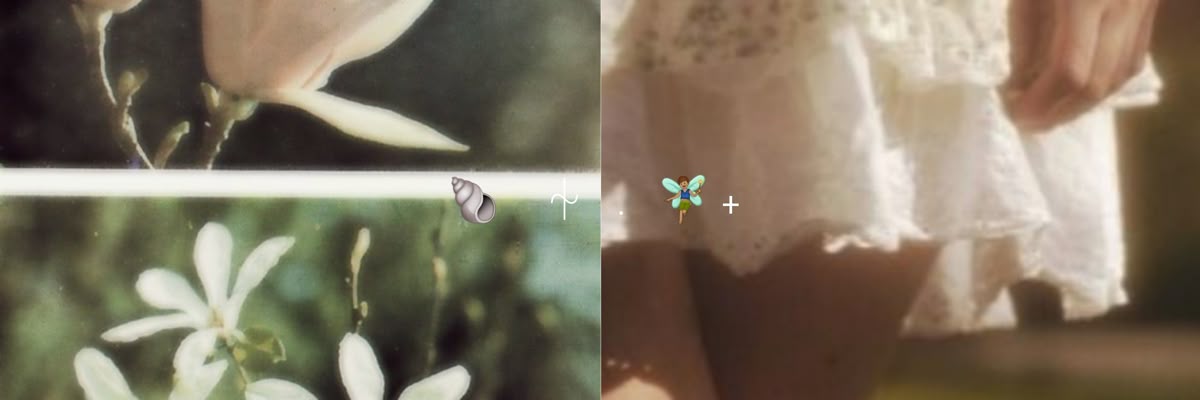 ⋆˚𝜗𝜚˚⋆ banner
