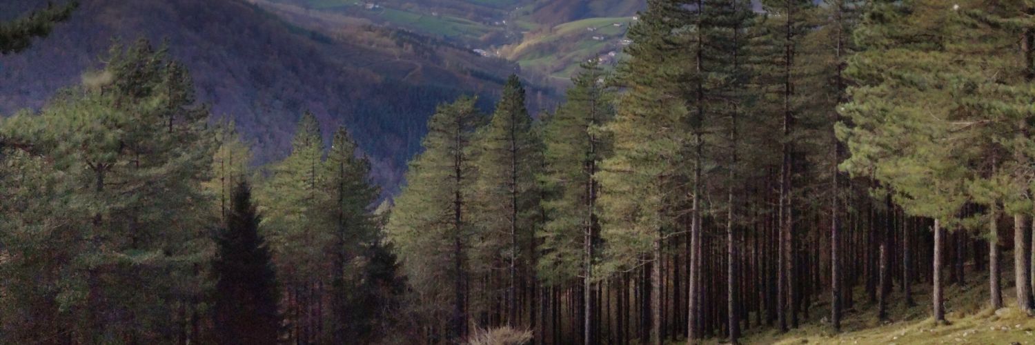 holapik's profile banner image